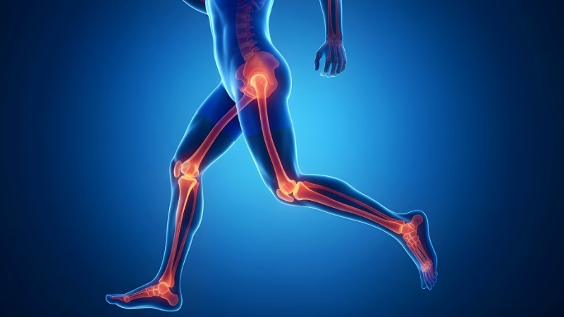 Anatomski prikaz kinetične verige spodnjih okončin med tekom, s poudarkom na sklepih kolka, kolena in gležnja.