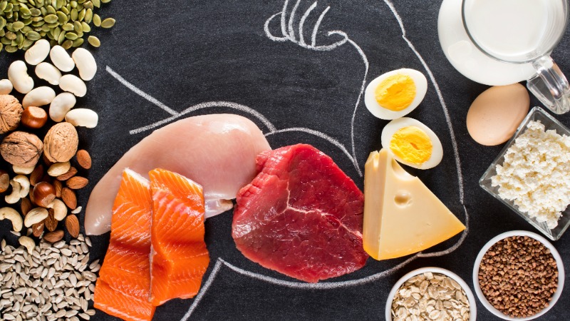 Različni viri beljakovin za rast mišic: meso, ribe, jajca, mlečni izdelki, oreščki in semena, razporejeni na tabli z narisano mišico.