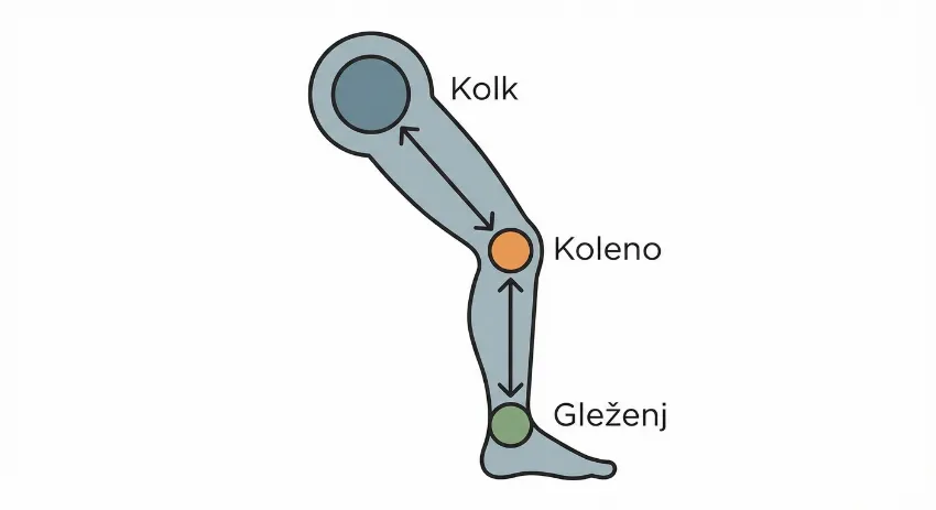 Infografika prikazuje anatomsko povezavo med kolkom, kolenom in gležnjem
