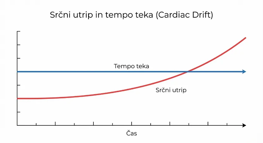 Graf srčnega odklona med dolgotrajnim tekom