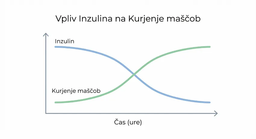 Graf prikazuje upad inzulina in porast kurjenja maščob skozi čas
