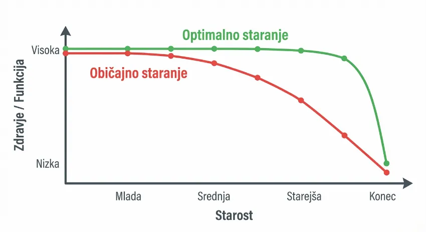 Graf prikazuje razliko med običajnim in optimalnim staranjem