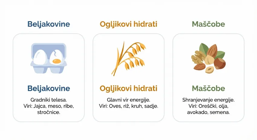 Prikaz osnovnih živil: beljakovine, ogljikovi hidrati in maščobe