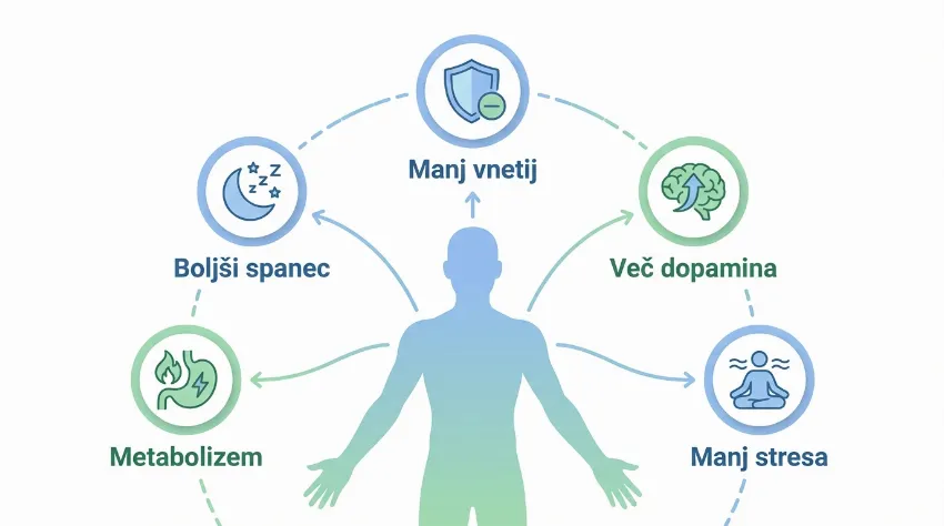 Infografika prikazuje pet koristi ledene kopeli: manj vnetij, več dopamina, manj stresa, metabolizem in boljši spanec