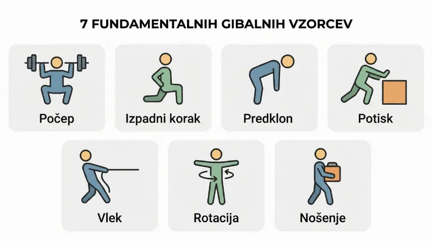 Grafika sedmih temeljnih gibalnih vzorcev