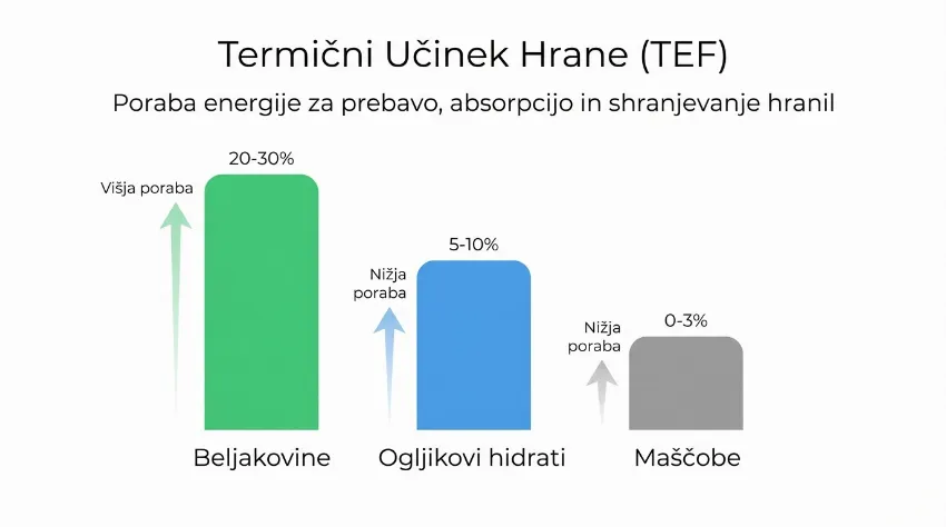 Graf prikazuje termični učinek beljakovin v primerjavi z ogljikovimi hidrati in maščobami