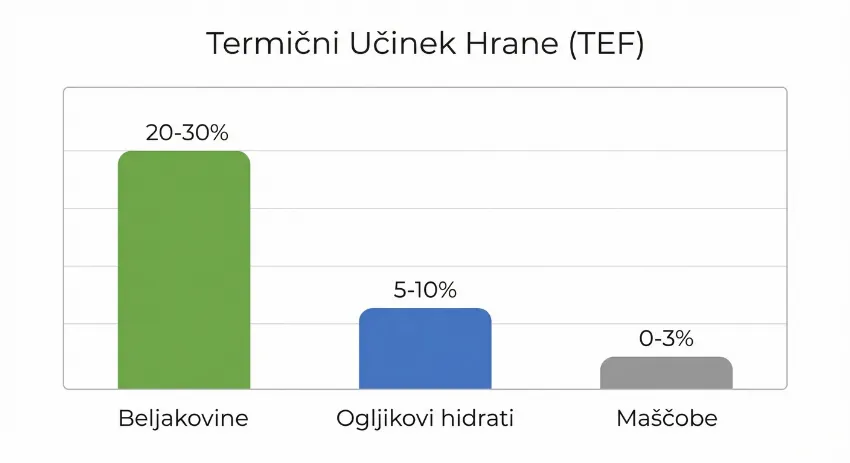 Graf prikazuje termični učinek beljakovin, ogljikovih hidratov in maščob