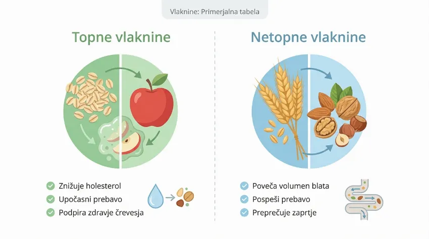Infografika prikazuje razliko med topnimi in netopnimi vlakninami