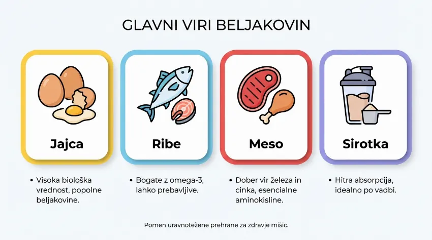 Infografika virov beljakovin: jajca, ribe, meso in sirotka