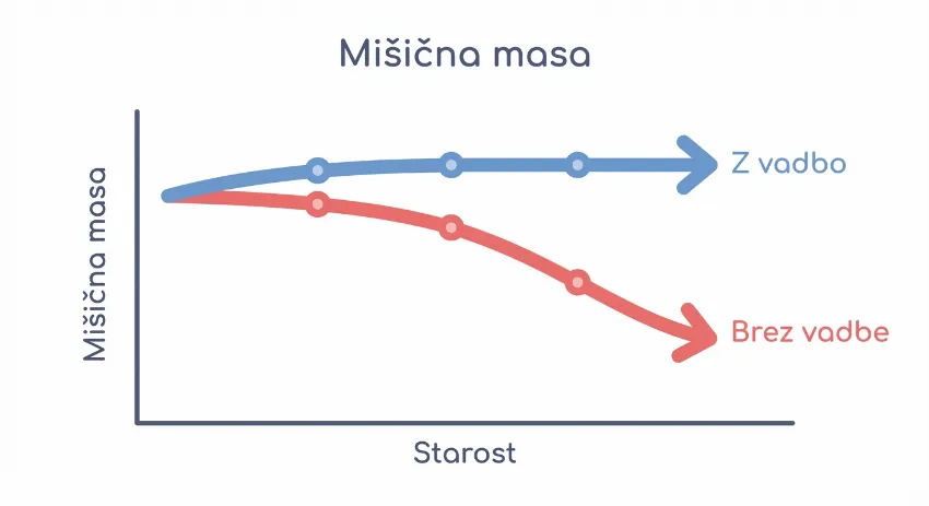 Graf prikazuje upad mišične mase s starostjo in vpliv vadbe