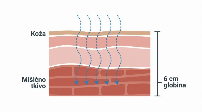 Prikaz globine prodiranja zvočnih valov v mišično tkivo