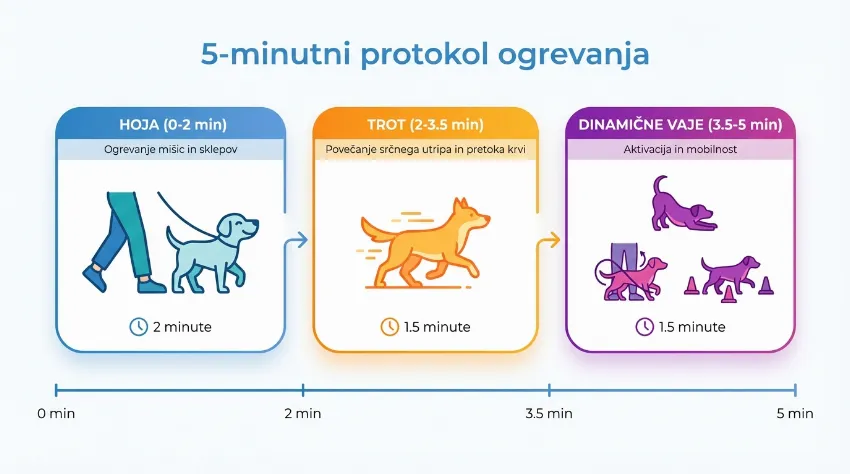Infografika, ki prikazuje 5-minutni protokol ogrevanja psa pred tekom.