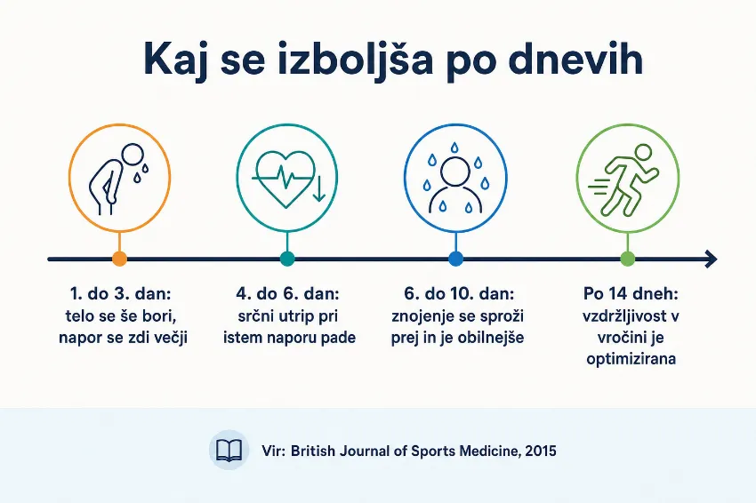 Infografika s časovnim potekom aklimatizacije na vročino po dnevih