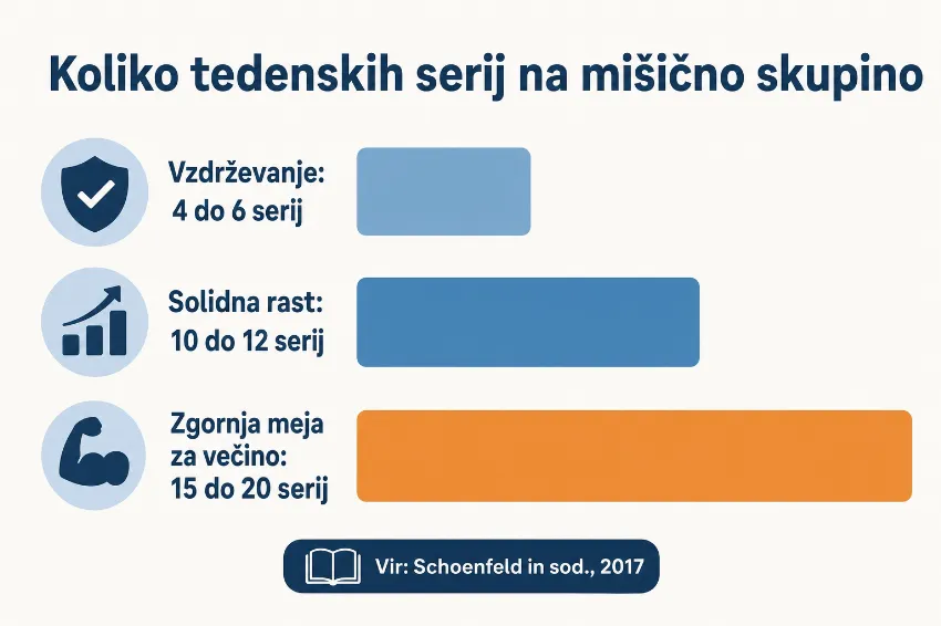 Infografika s priporočenim tedenskim številom serij na mišično skupino