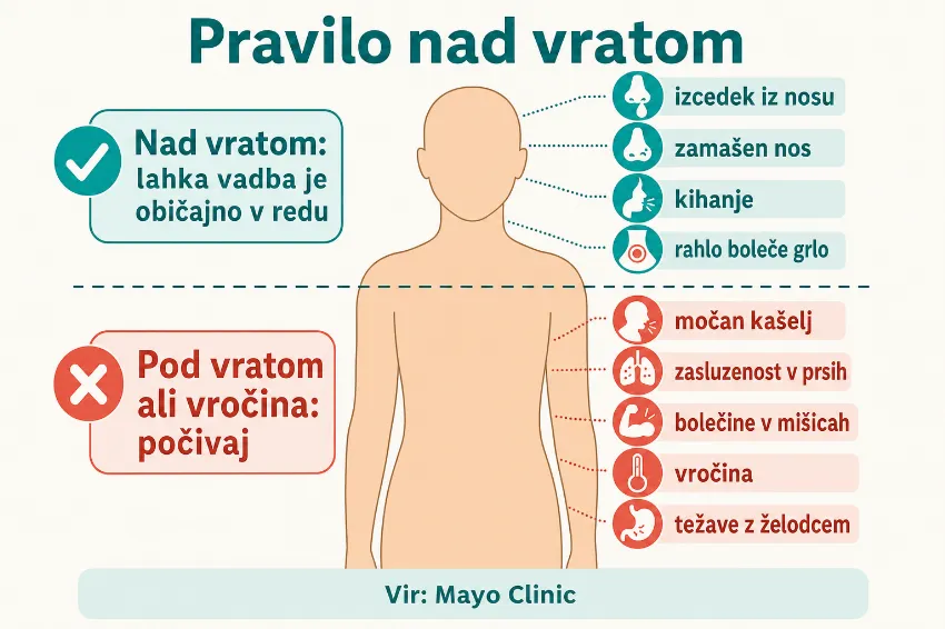 Infografika pravila nad vratom za vadbo ob prehladu